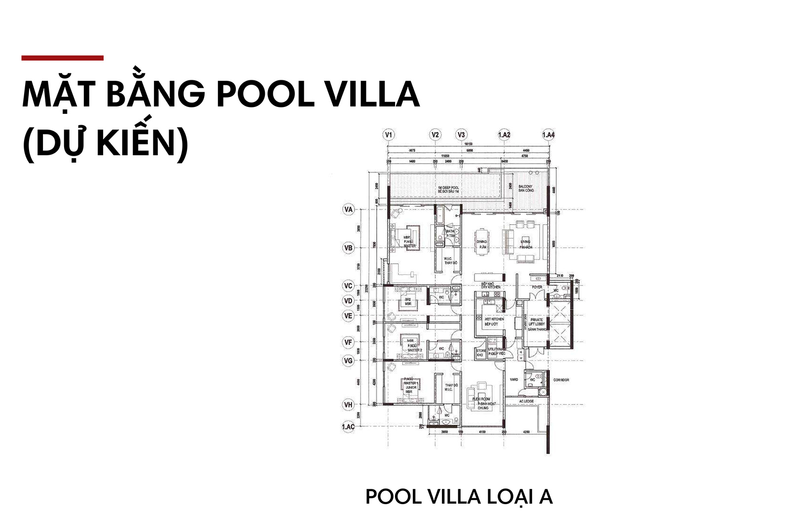Dự Án The River Thủ Thiêm 13 the river thu thiem mat bang layout pool villa batdongsanquan2.com