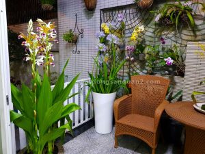 cho thue biet thu duong số 33 phuong an phu quan 2 batdongsanquan2.com