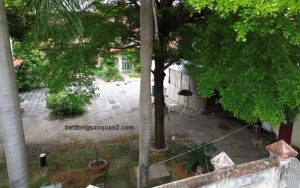 cho thue dat trong phuong thao dien quan 2 batdongsan.com
